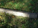 image of grave number 601050